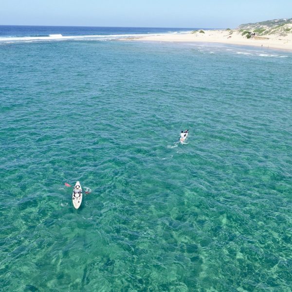 DCIM100MEDIADJI_0265.JPG DCIM100MEDIADJI_0265.JPG