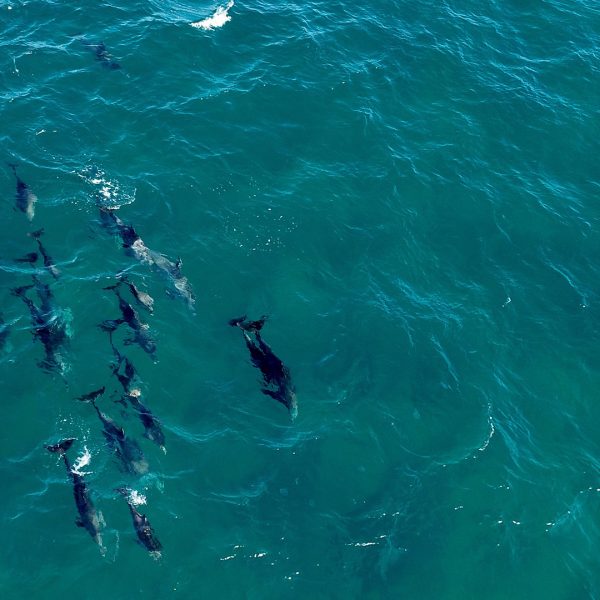 D0767553D4066FF1985F9426EC8F2E64 D0767553D4066FF1985F9426EC8F2E64