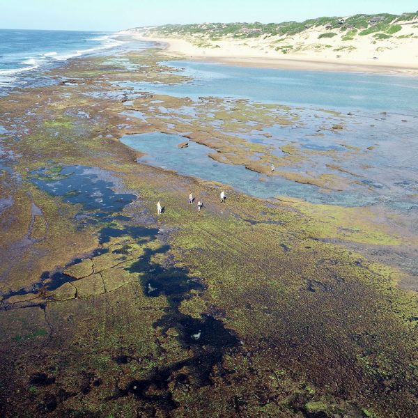 DCIM100MEDIADJI_0328.JPG DCIM100MEDIADJI_0328.JPG