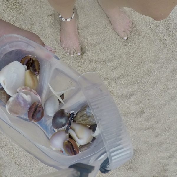 DCIM102GOPROGOPR3299.JPG DCIM102GOPROGOPR3299.JPG