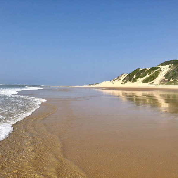 Photo 12-08-2018, 10 08 55 Photo 12-08-2018, 10 08 55